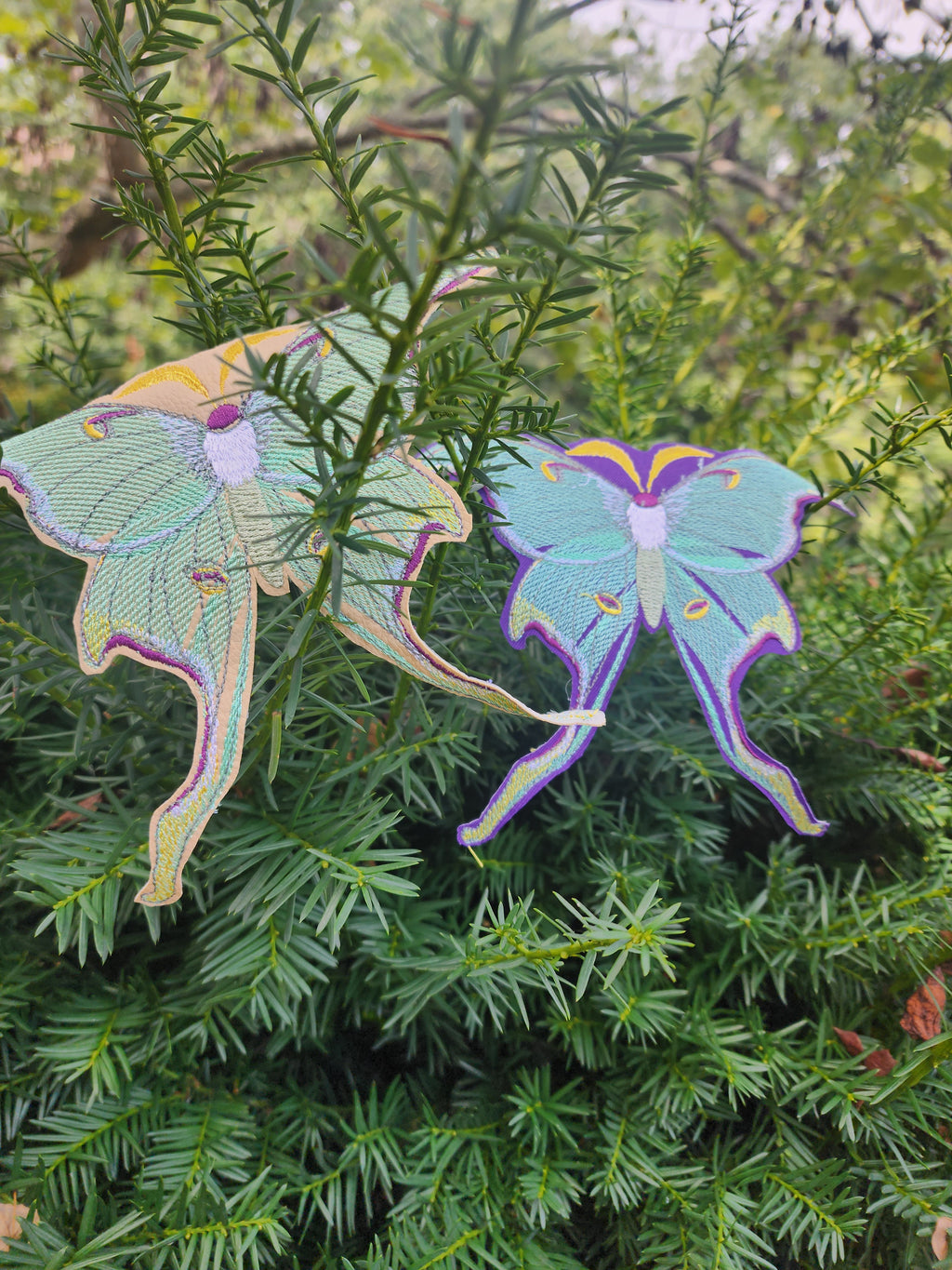Luna Moth Patch