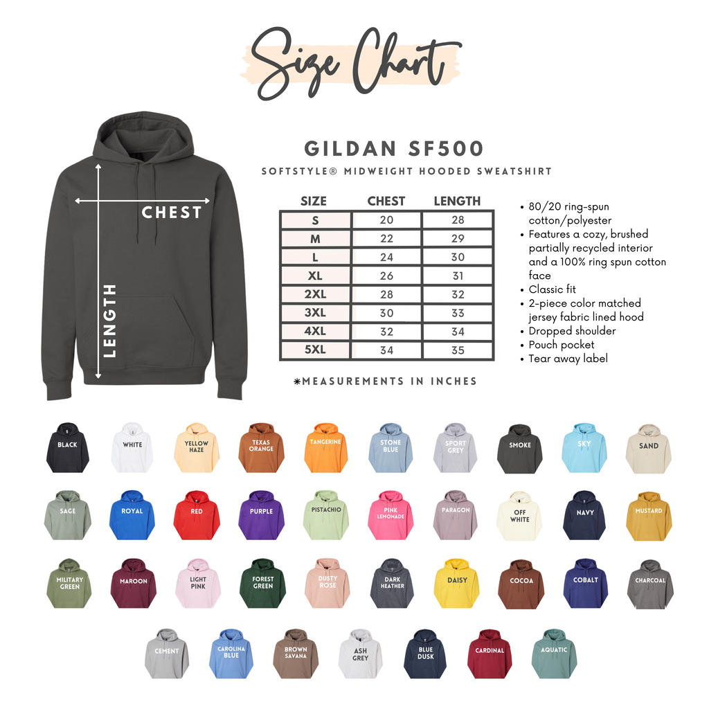 Embroidered Spring Silly Goose Pullover Hoodie